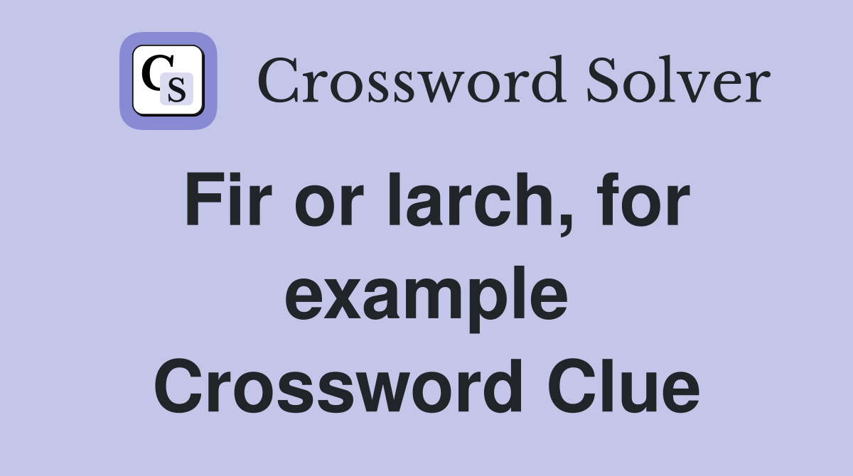 Fir or larch, for example Crossword Clue
