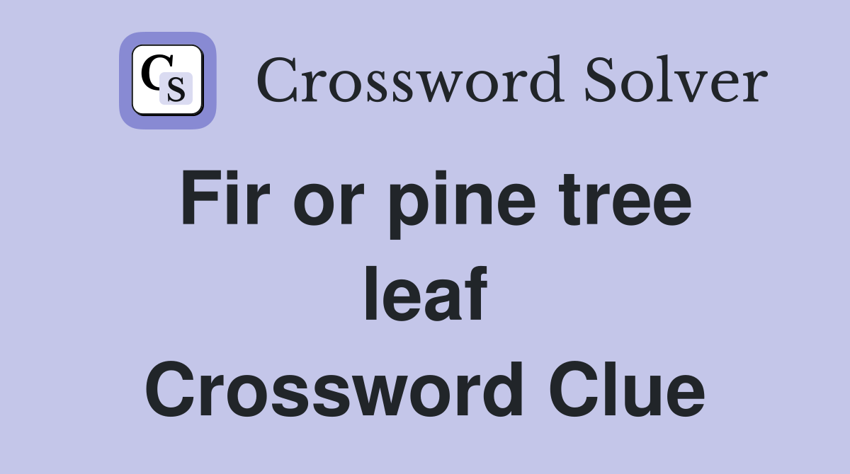 Fir or pine tree leaf Crossword Clue