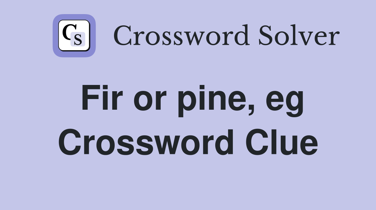 Fir or pine, eg Crossword Clue