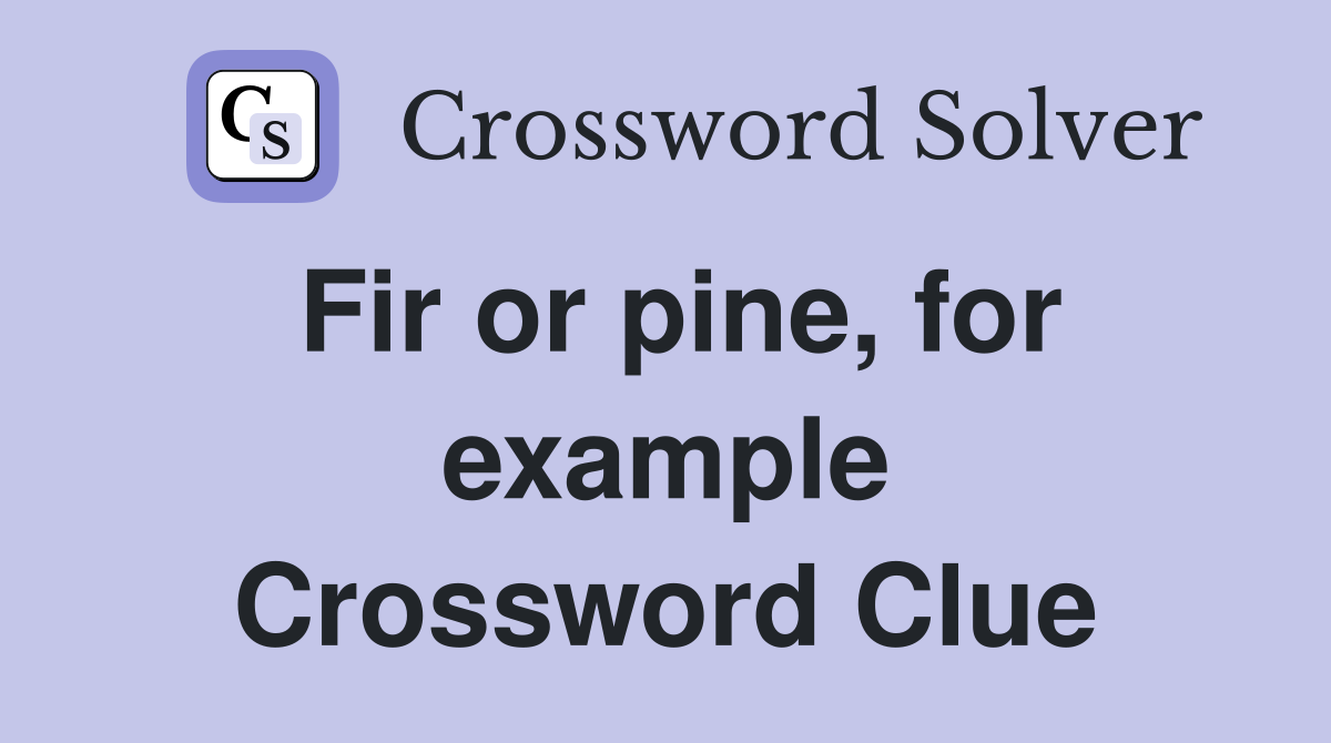 Fir or pine, for example Crossword Clue