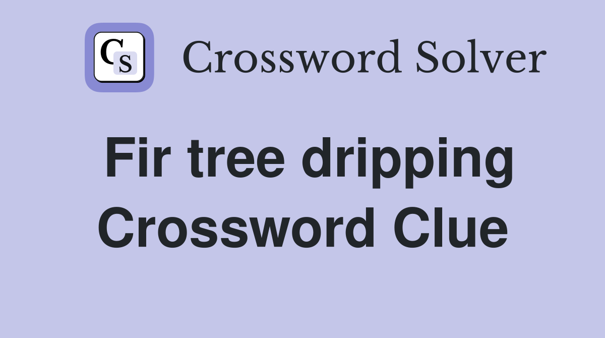 Fir tree dripping Crossword Clue