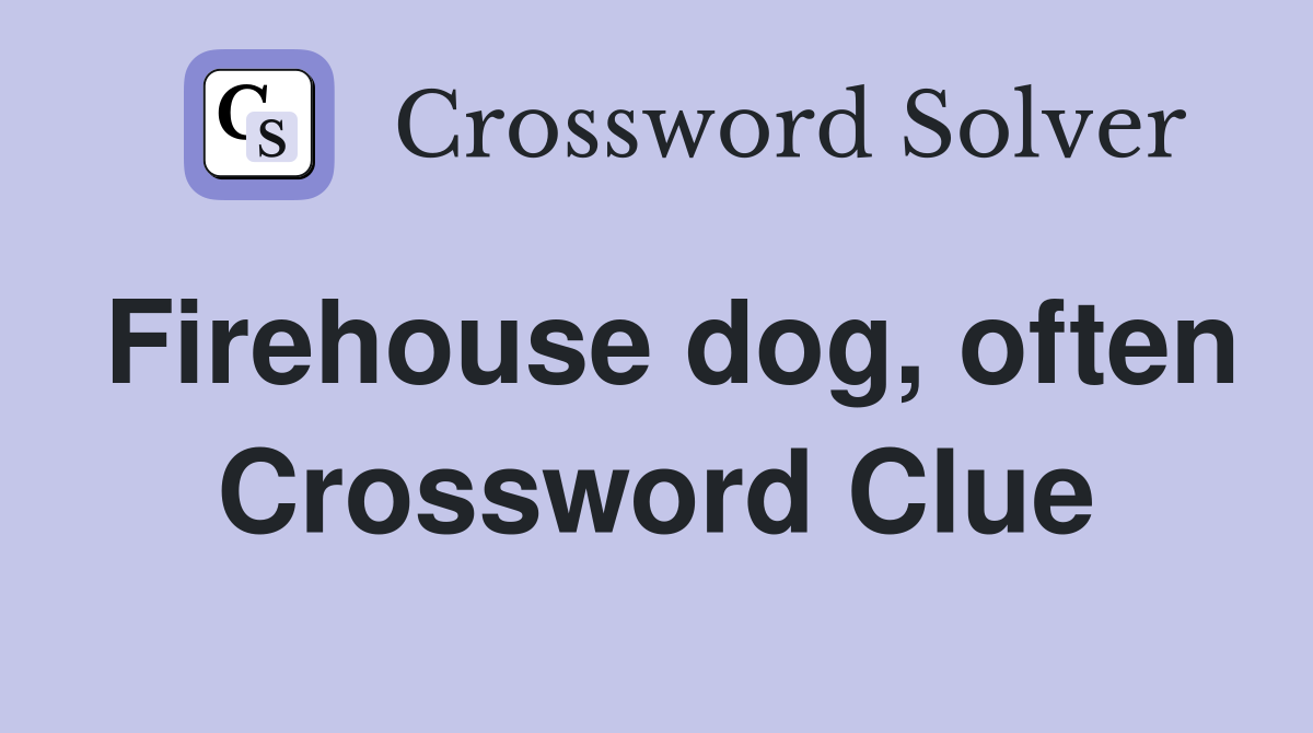 Firehouse dog, often Crossword Clue