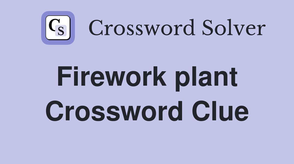 Firework plant  Crossword Clue