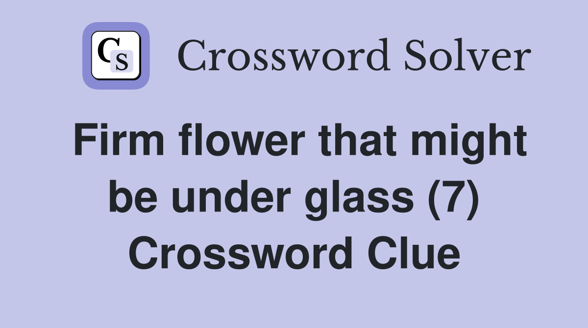 Firm flower that might be under glass (7) Crossword Clue