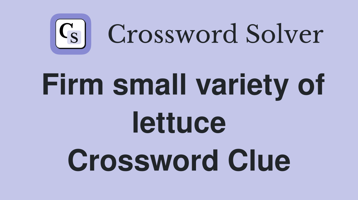 Firm small variety of lettuce Crossword Clue
