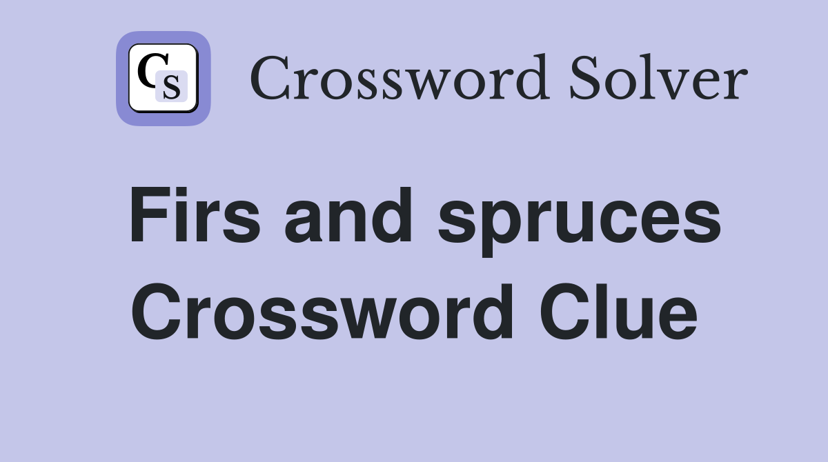 Firs and spruces Crossword Clue
