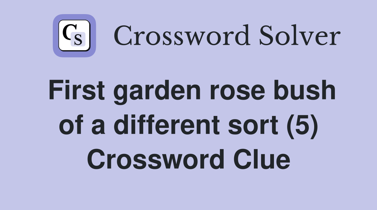 First garden rose bush of a different sort (5) Crossword Clue
