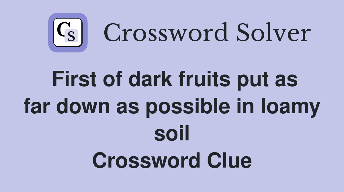 First of dark fruits put as far down as possible in loamy soil Crossword Clue