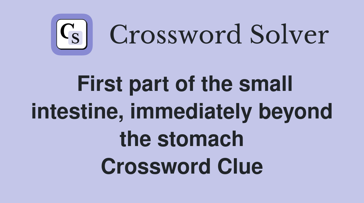 First part of the small intestine, immediately beyond the stomach Crossword Clue