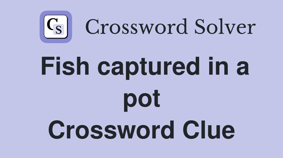Fish captured in a pot Crossword Clue