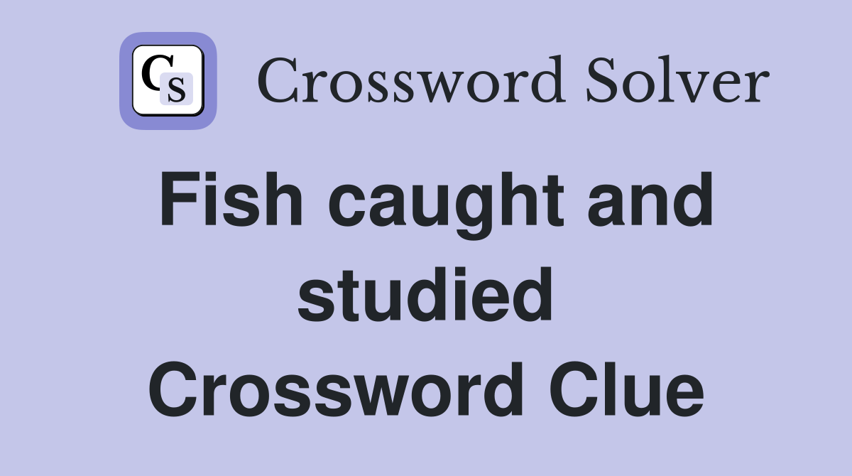 Fish caught and studied Crossword Clue