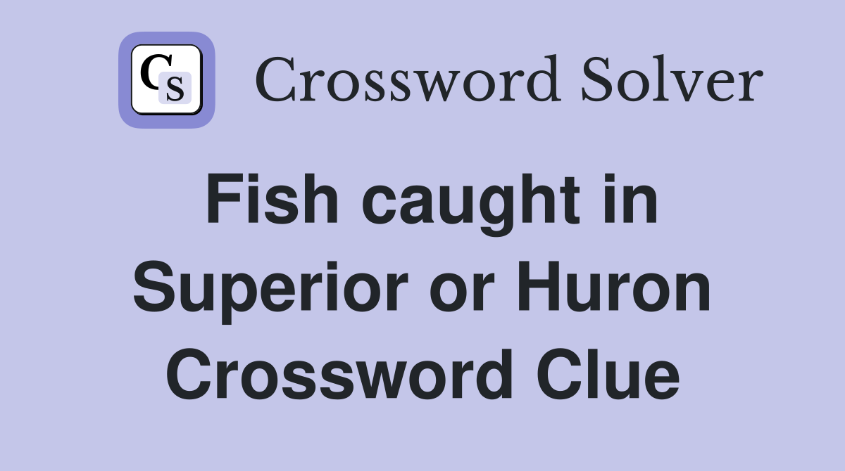 Fish caught in Superior or Huron Crossword Clue