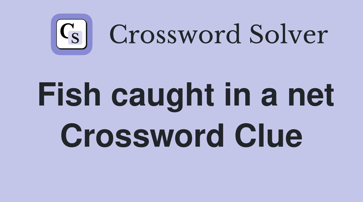 Fish caught in a net Crossword Clue