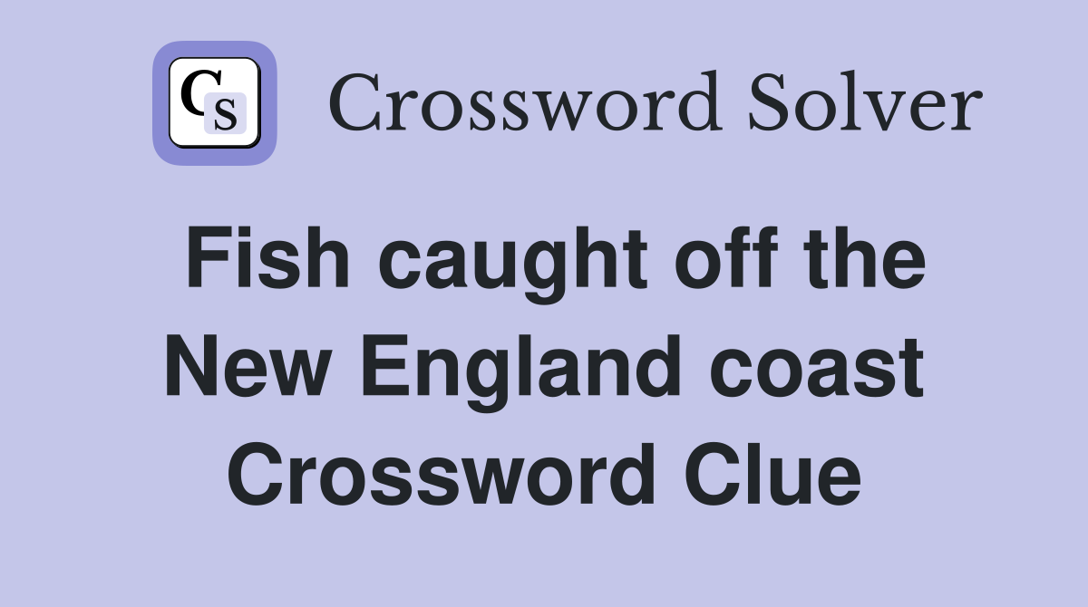 Fish caught off the New England coast Crossword Clue