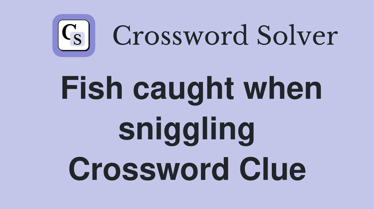 Fish caught when sniggling Crossword Clue