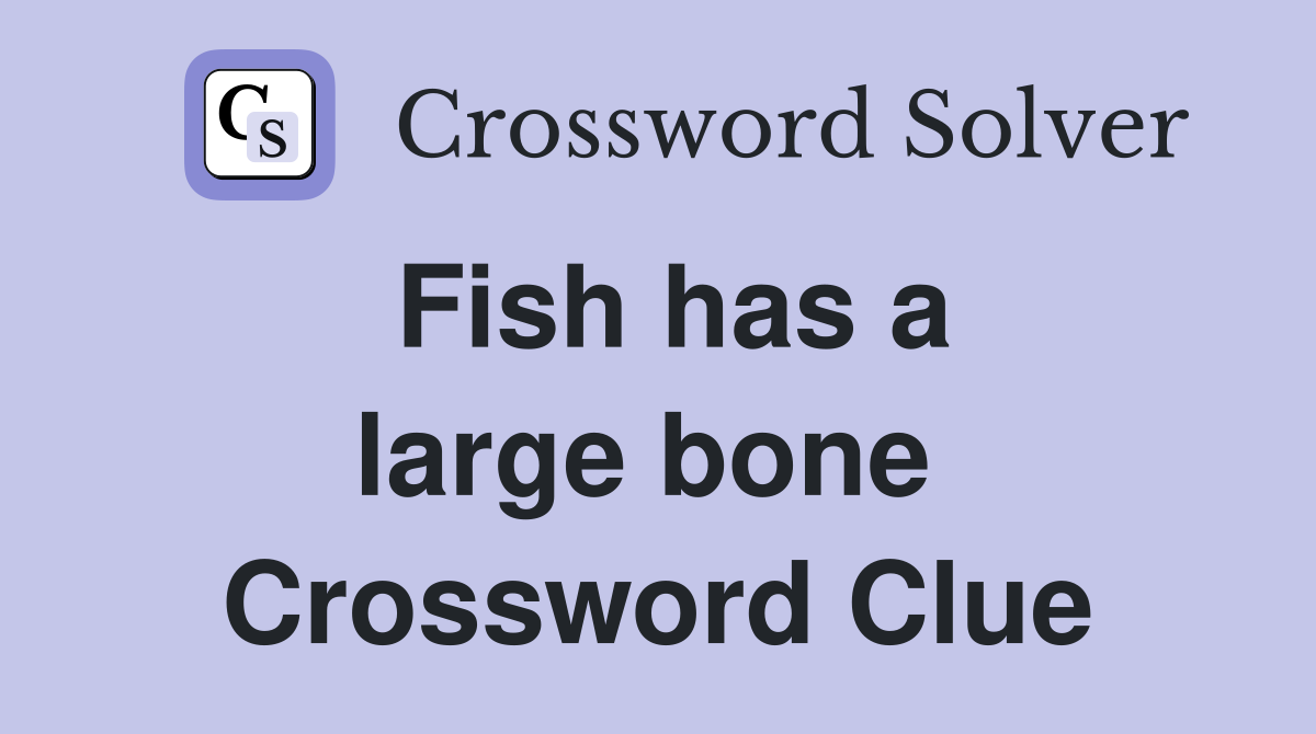 Fish has a large bone  Crossword Clue
