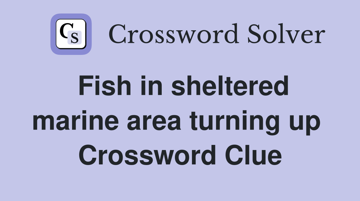 Fish in sheltered marine area turning up  Crossword Clue