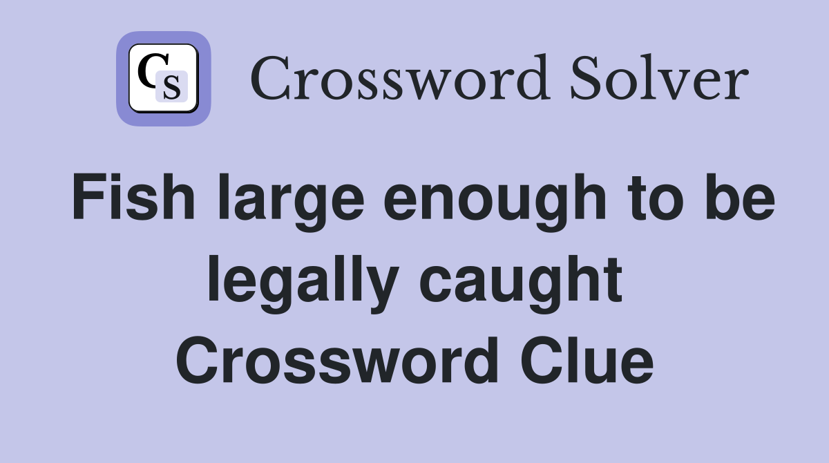 Fish large enough to be legally caught Crossword Clue