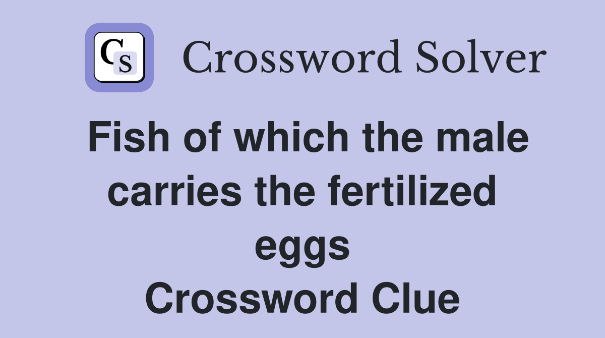 Fish of which the male carries the fertilized eggs Crossword Clue
