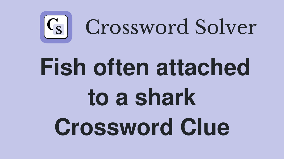 Fish often attached to a shark Crossword Clue
