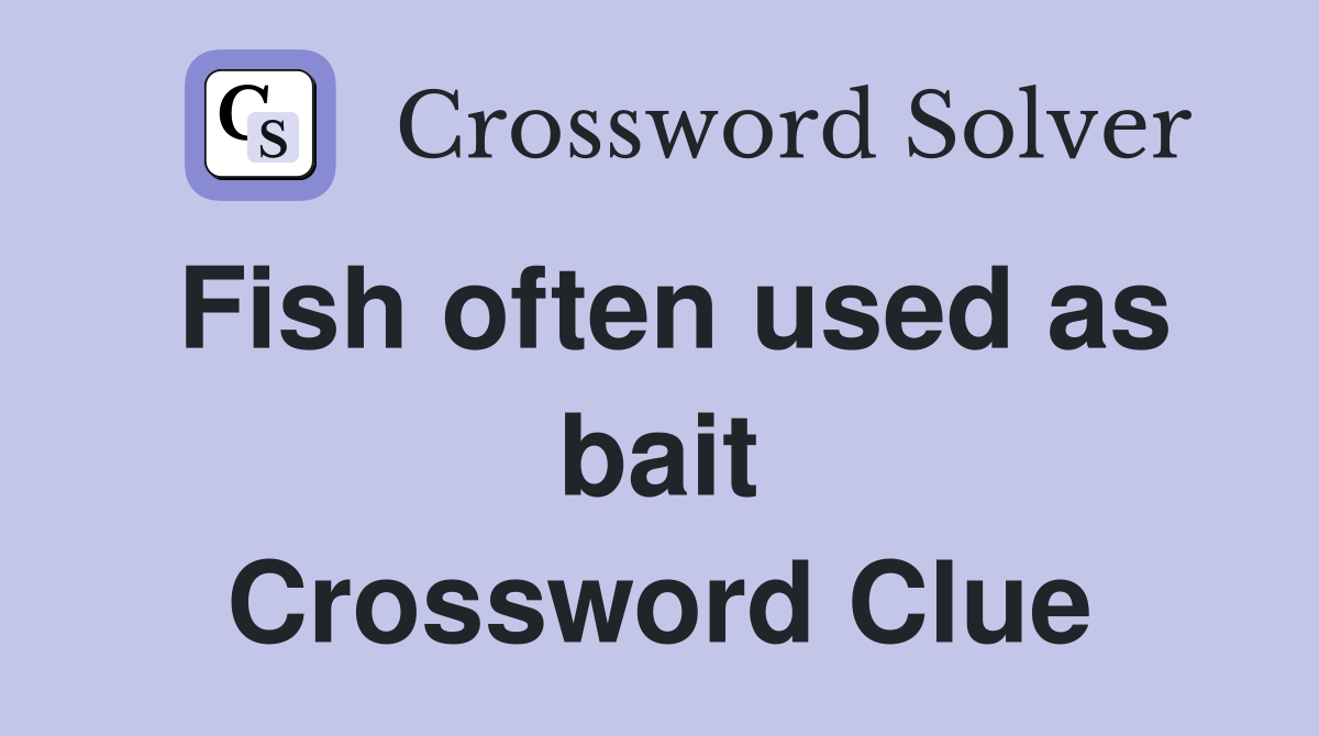 Fish often used as bait Crossword Clue