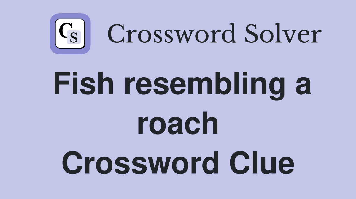 Fish resembling a roach Crossword Clue