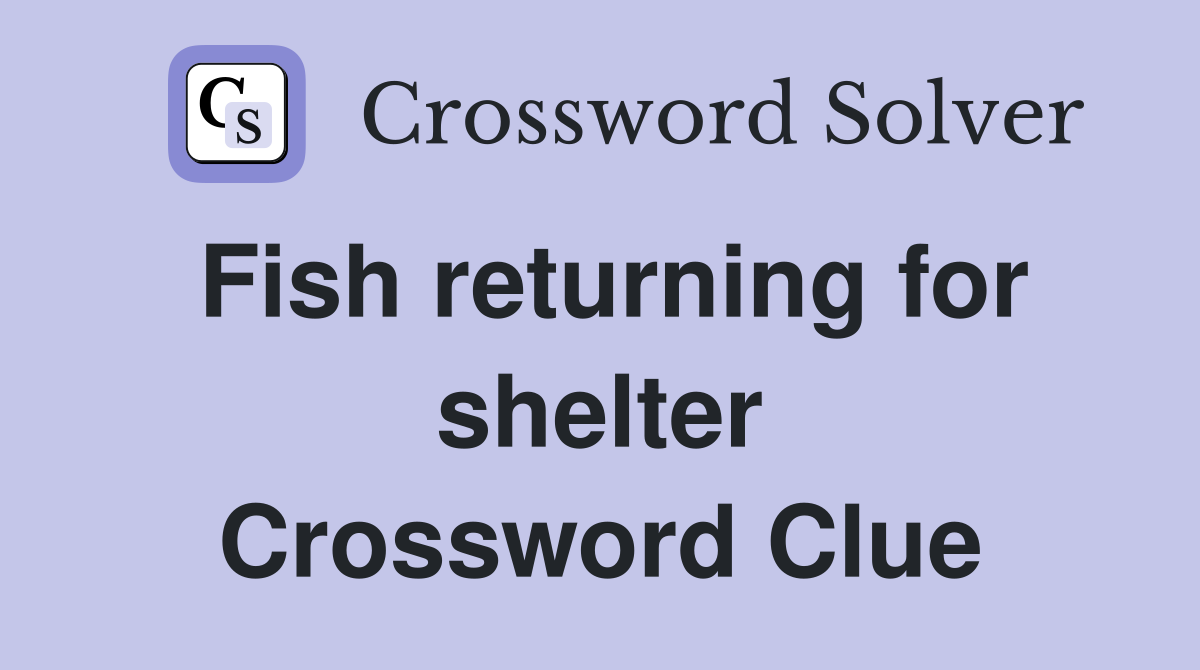 Fish returning for shelter Crossword Clue