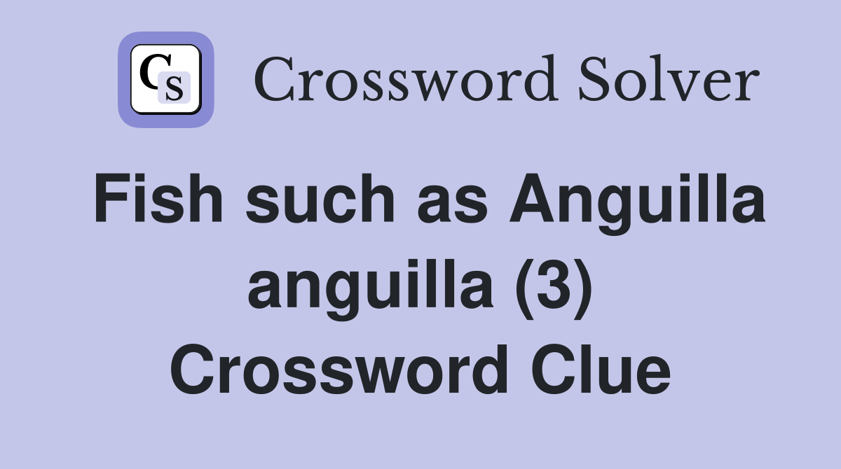 Fish such as Anguilla anguilla (3) Crossword Clue