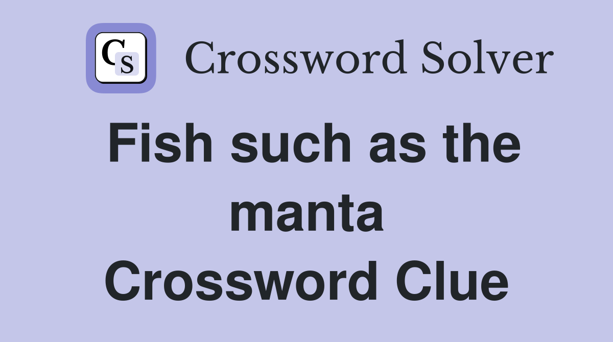 Fish such as the manta Crossword Clue
