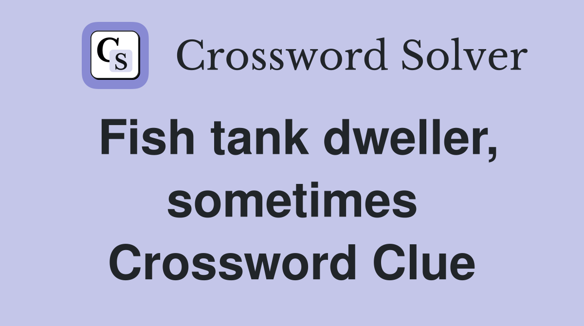 Fish tank dweller, sometimes Crossword Clue