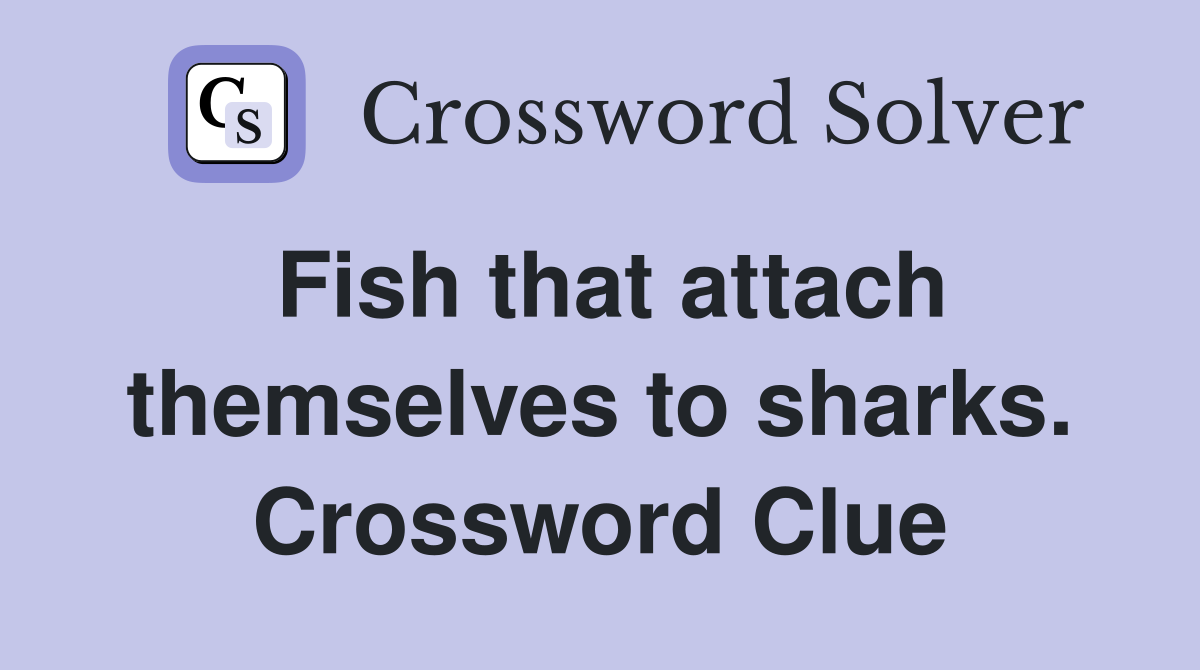 Fish that attach themselves to sharks. Crossword Clue