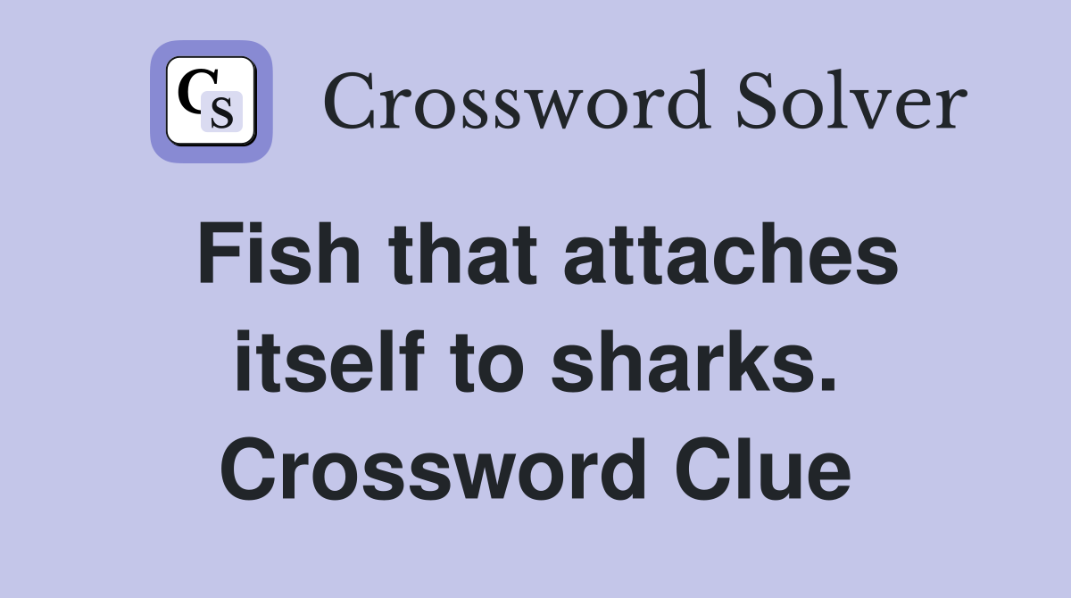 Fish that attaches itself to sharks. Crossword Clue