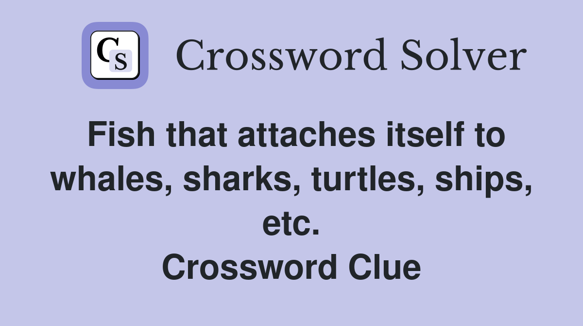 Fish that attaches itself to whales, sharks, turtles, ships, etc. Crossword Clue