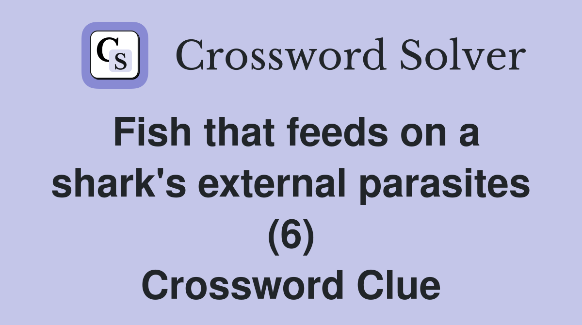 Fish that feeds on a shark's external parasites (6) Crossword Clue