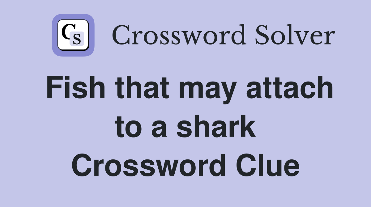 Fish that may attach to a shark Crossword Clue