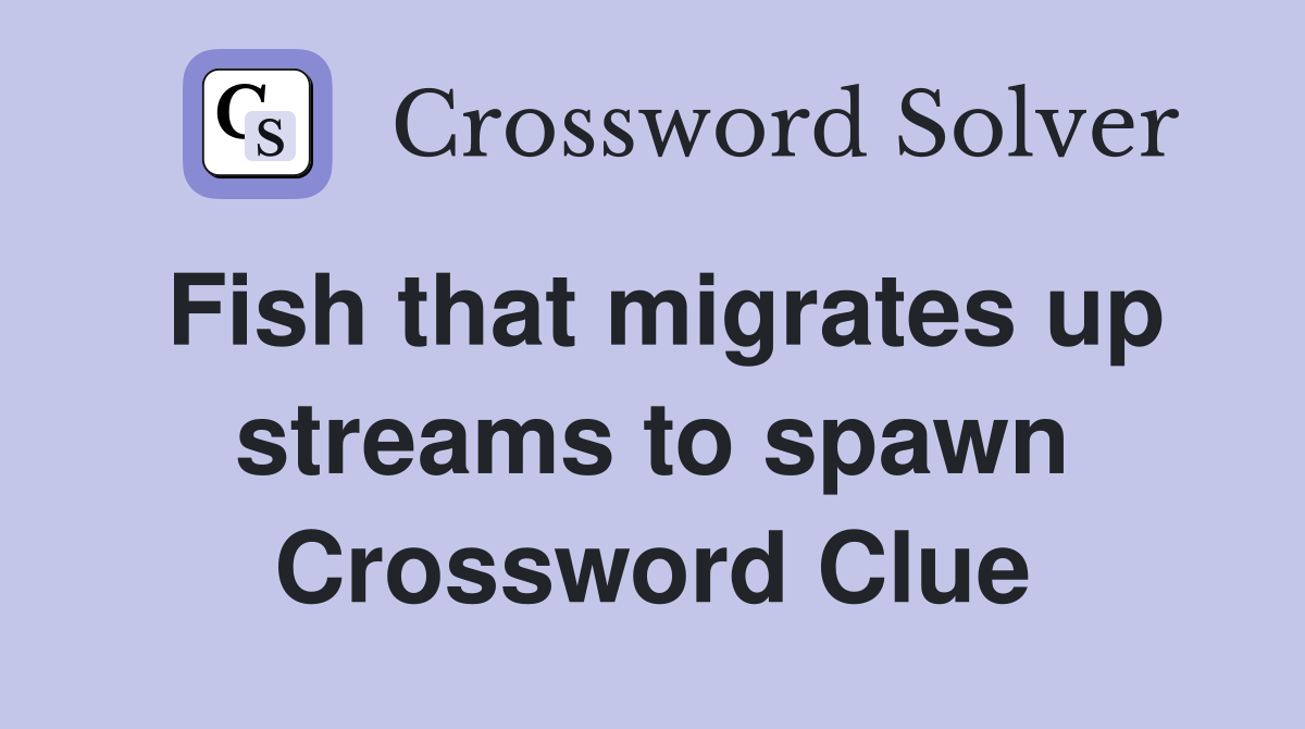 Fish that migrates up streams to spawn Crossword Clue