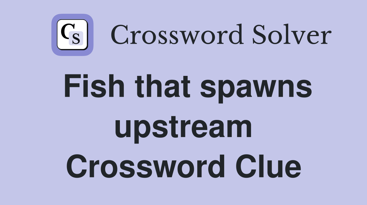 Fish that spawns upstream Crossword Clue