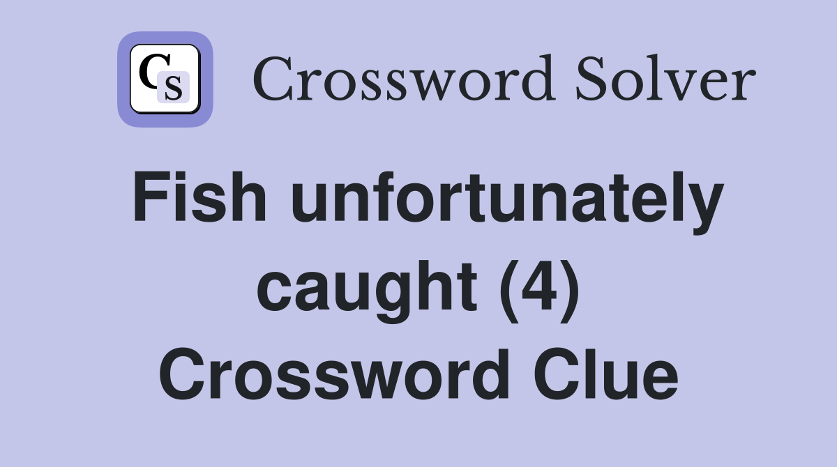 Fish unfortunately caught (4) Crossword Clue