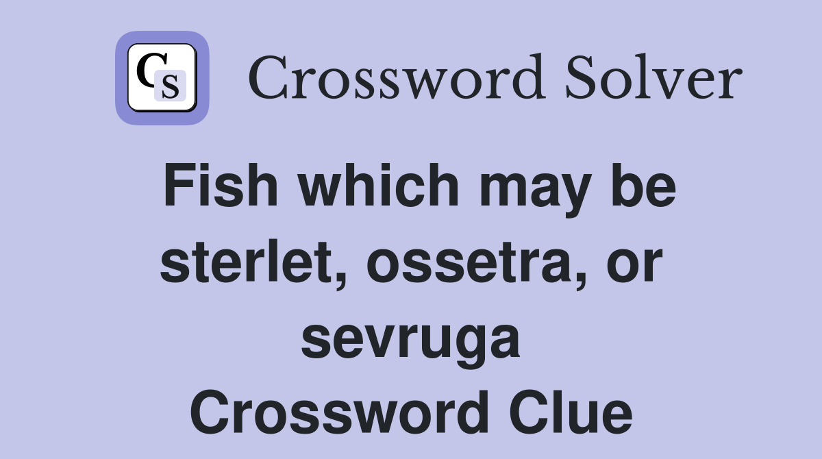 Fish which may be sterlet, ossetra, or sevruga Crossword Clue