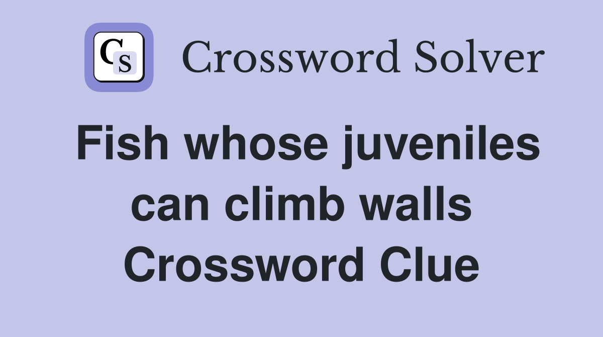 Fish whose juveniles can climb walls Crossword Clue