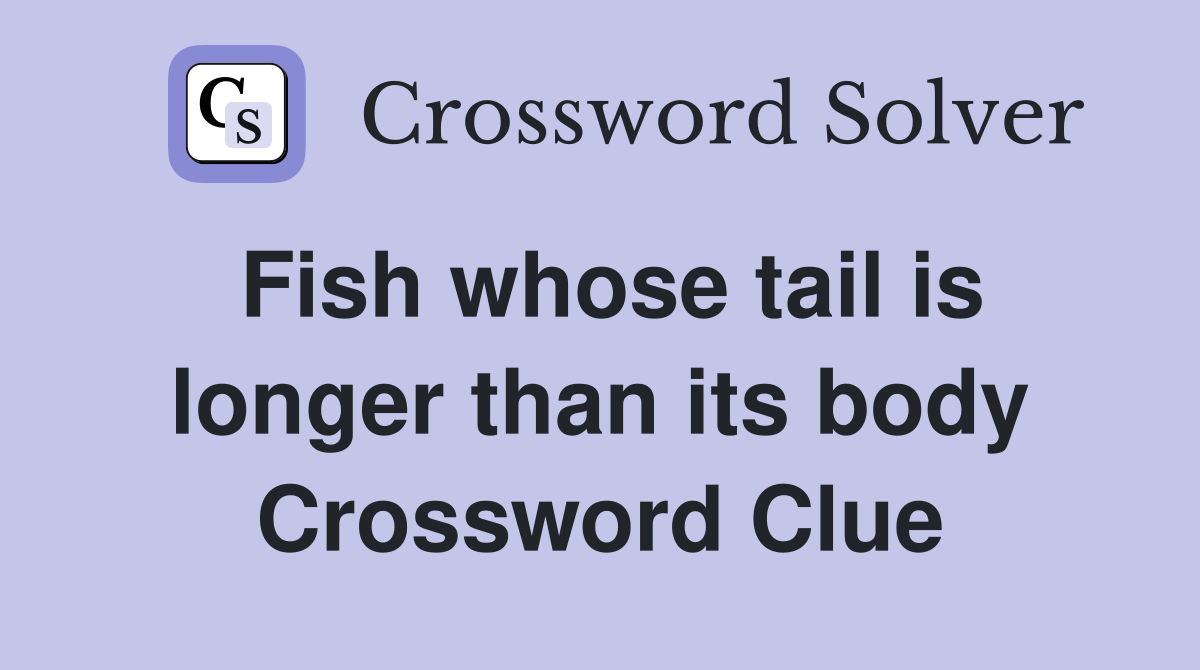 Fish whose tail is longer than its body Crossword Clue