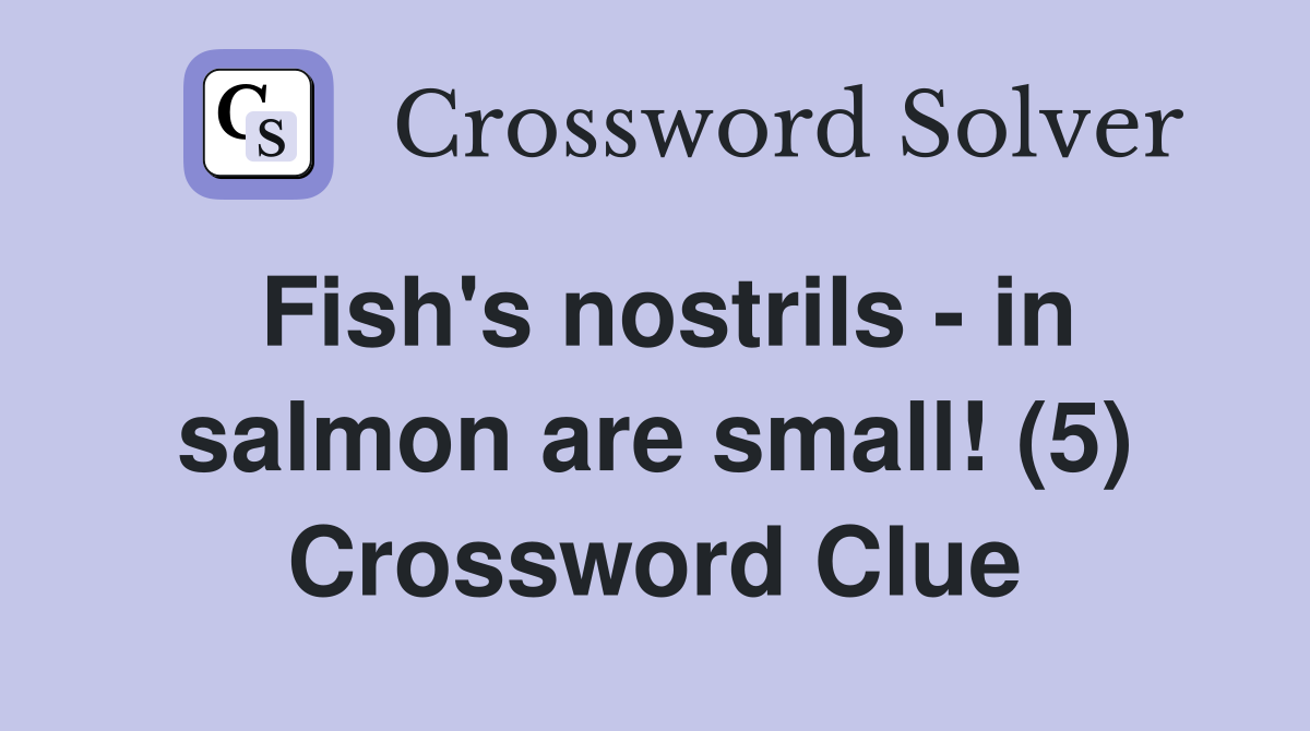 Fish's nostrils - in salmon are small! (5) Crossword Clue