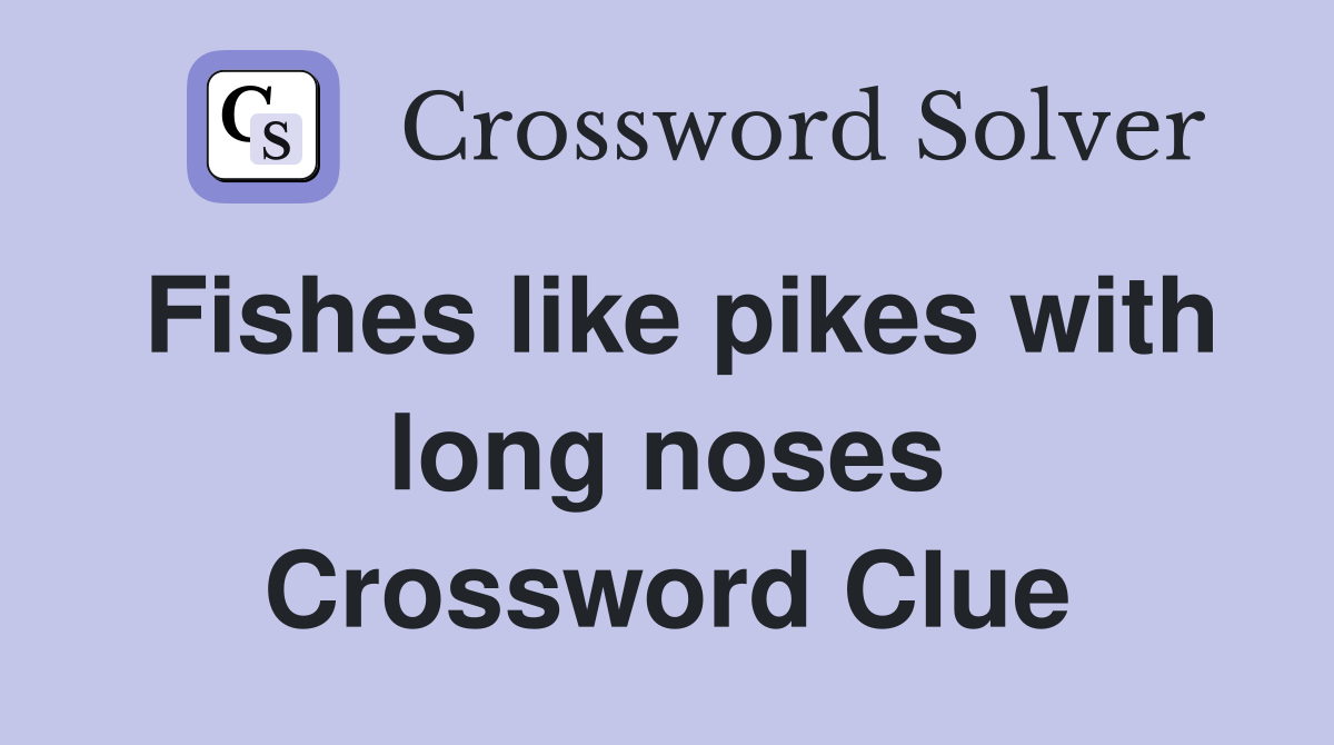 Fishes like pikes with long noses Crossword Clue