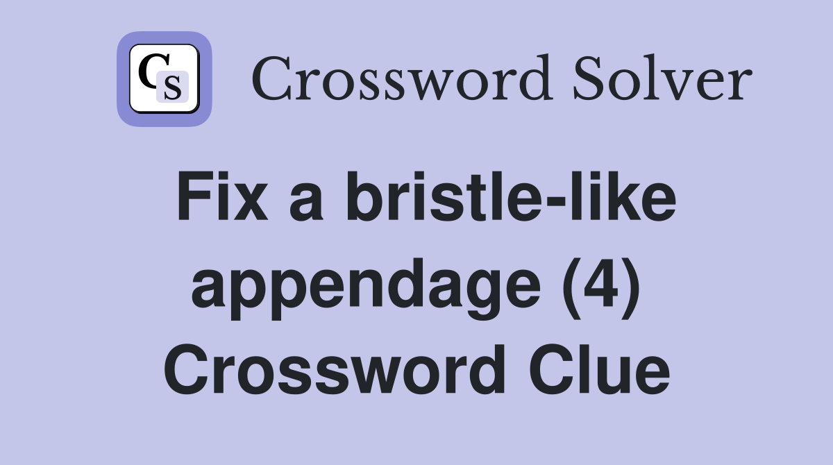 Fix a bristle-like appendage (4) Crossword Clue