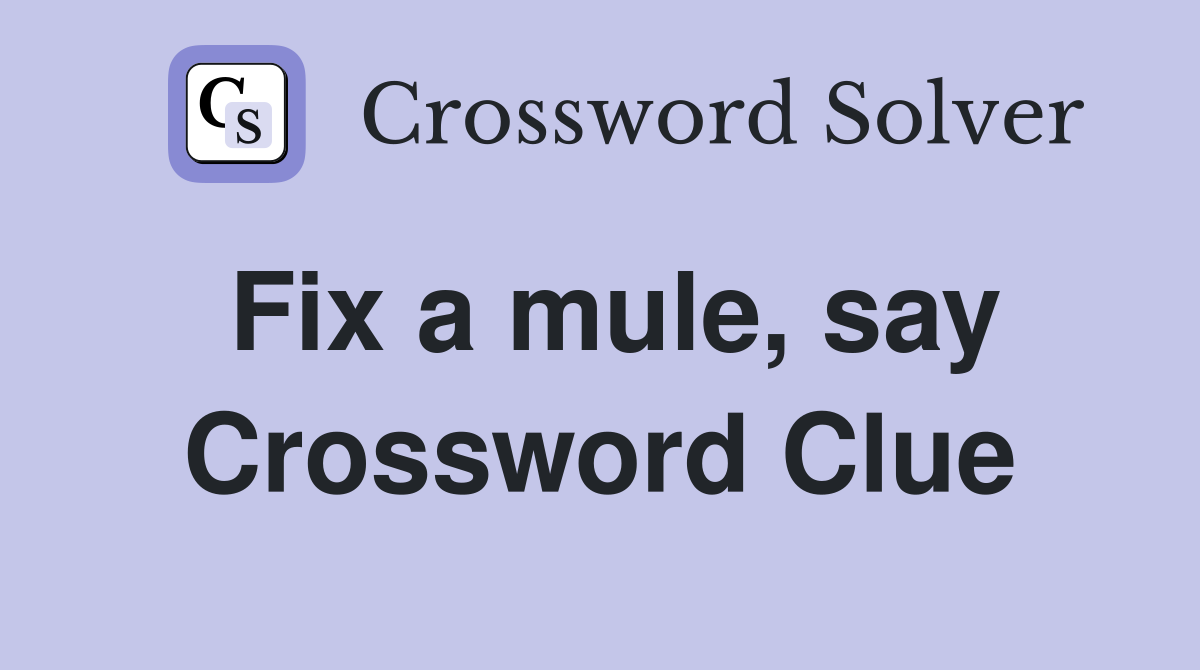 Fix a mule, say Crossword Clue