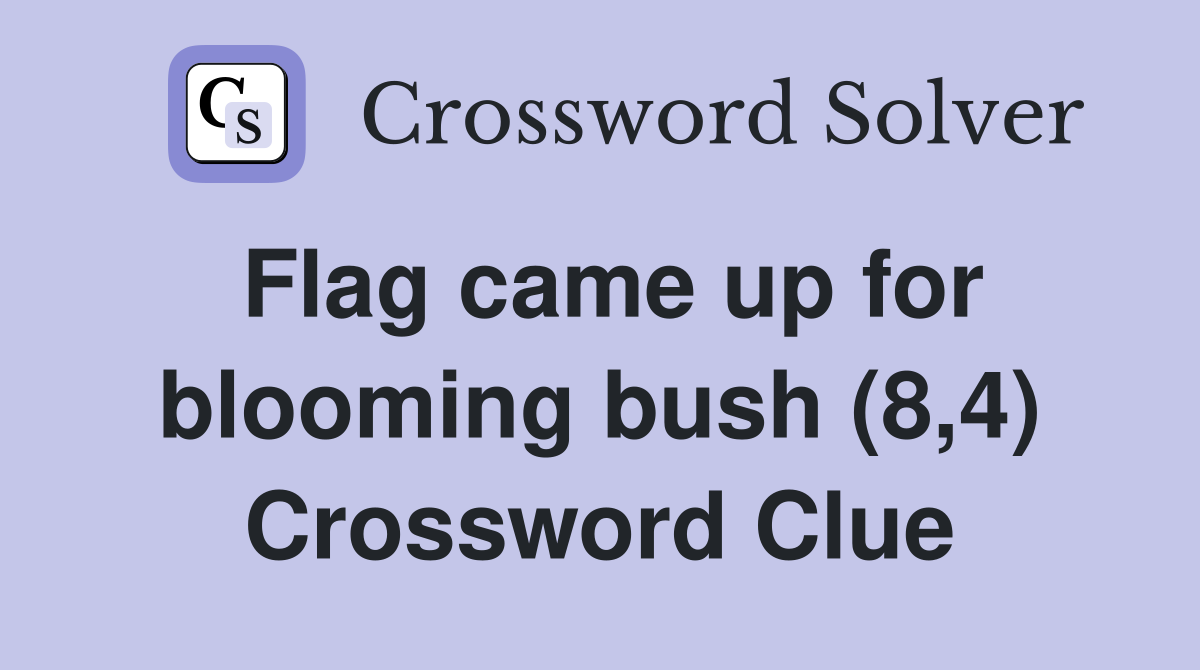 Flag came up for blooming bush (8,4) Crossword Clue