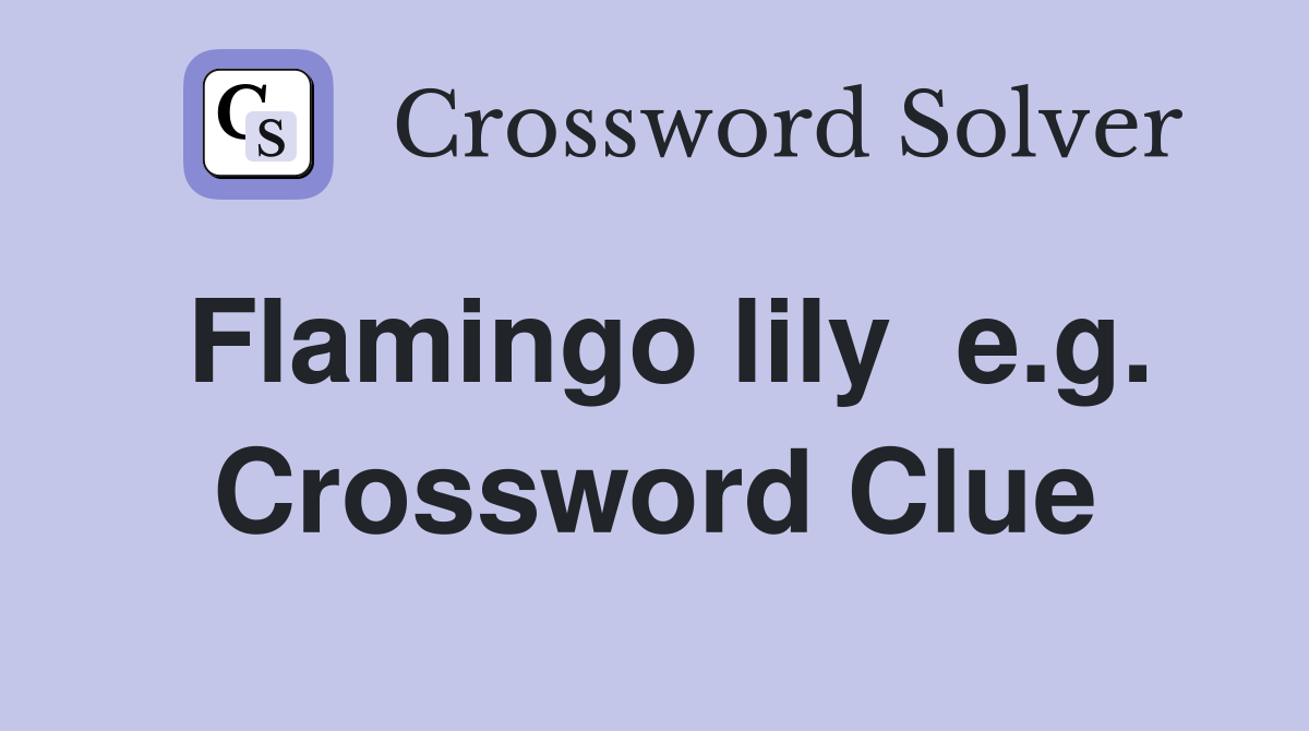 Flamingo lily  e.g. Crossword Clue