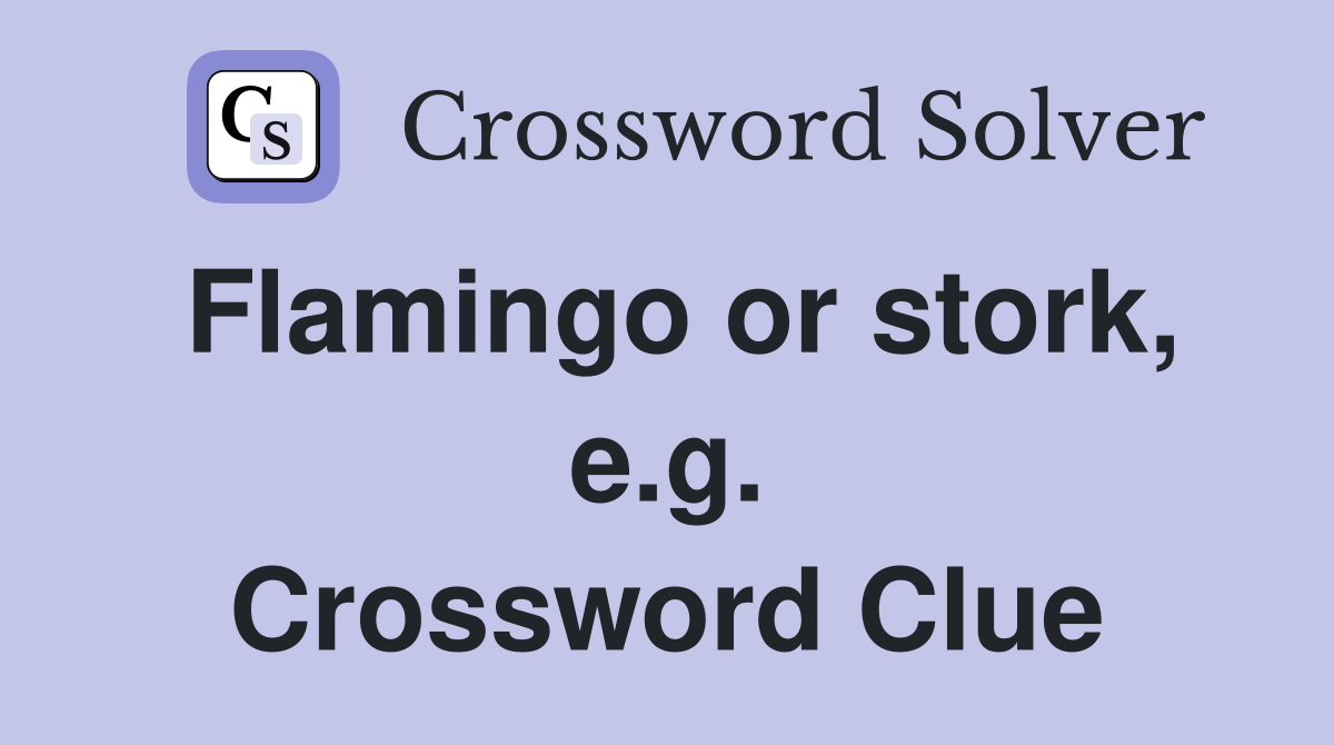 Flamingo or stork, e.g. Crossword Clue