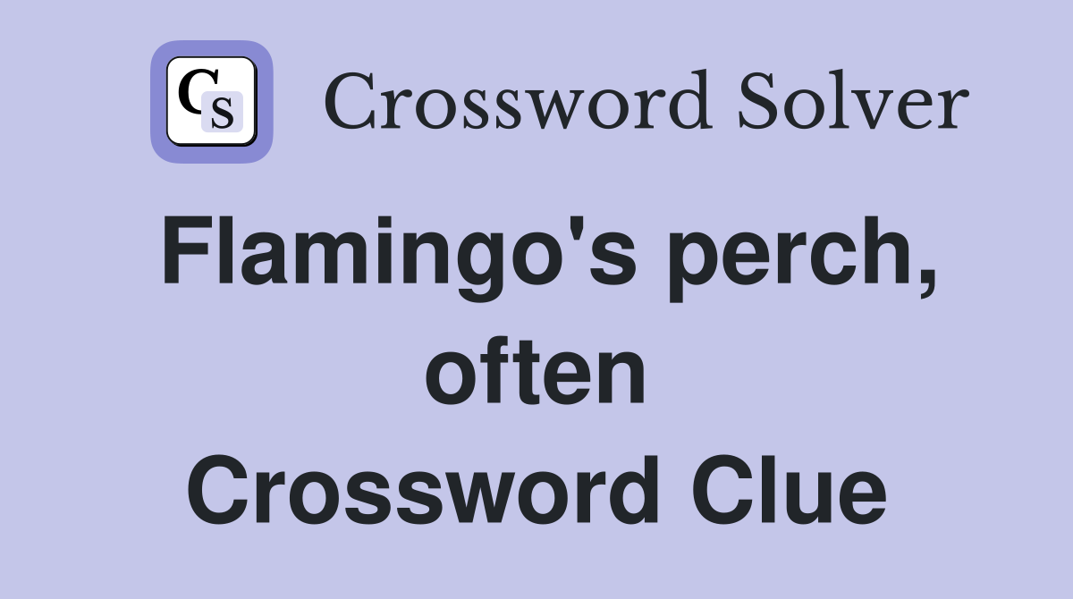 Flamingo's perch, often Crossword Clue