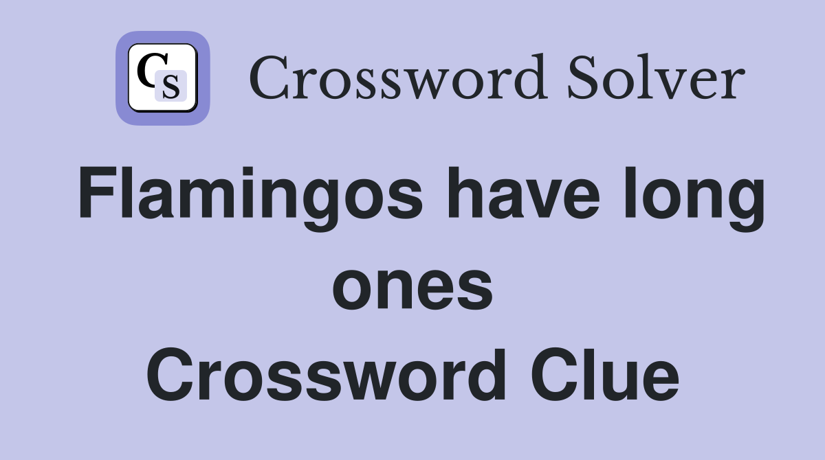 Flamingos have long ones Crossword Clue